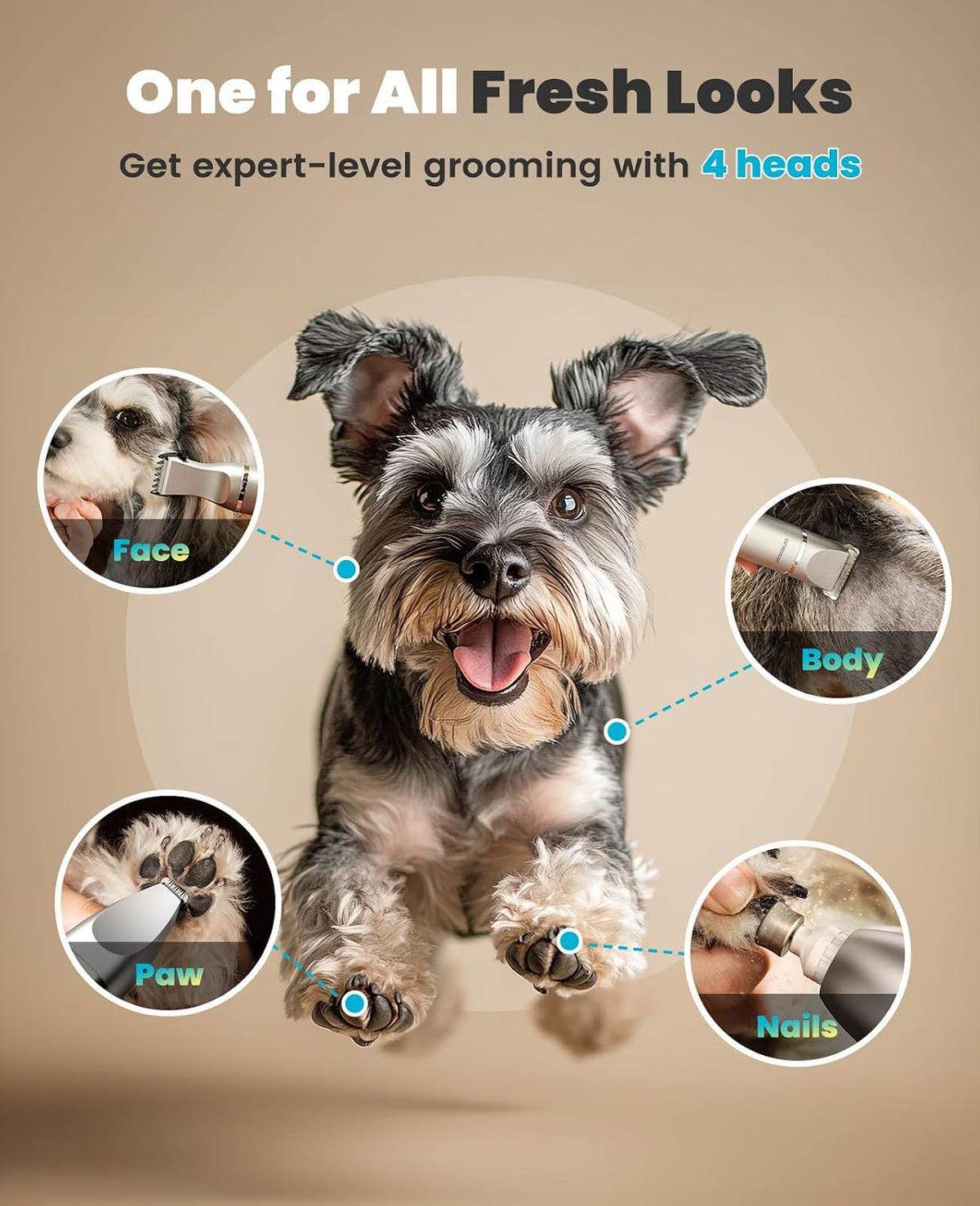 Dog with grooming tool and features on a beige background