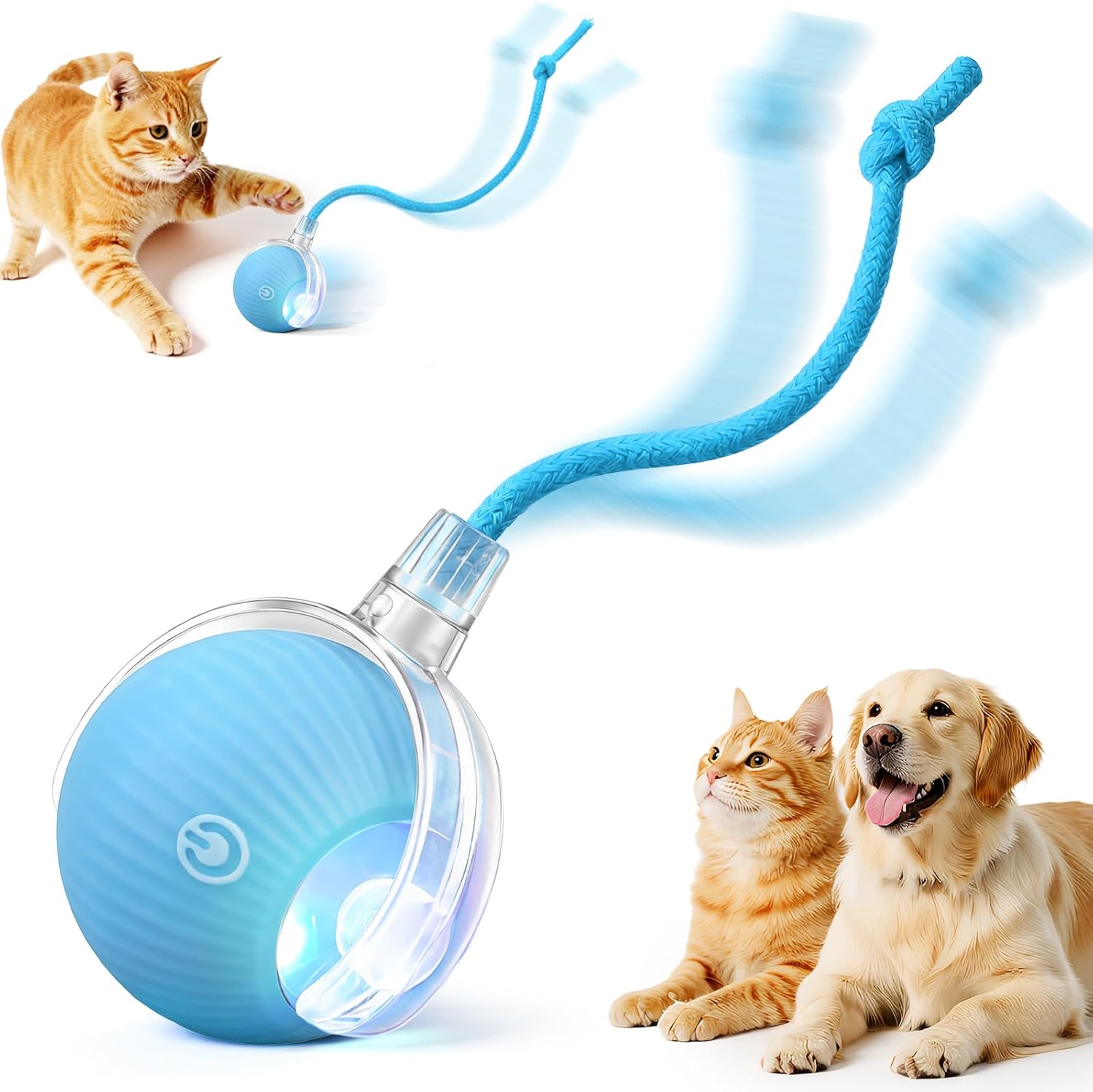 Pet toy with a blue ball and rope, featuring a cat and dog on a white background at Pet Servo