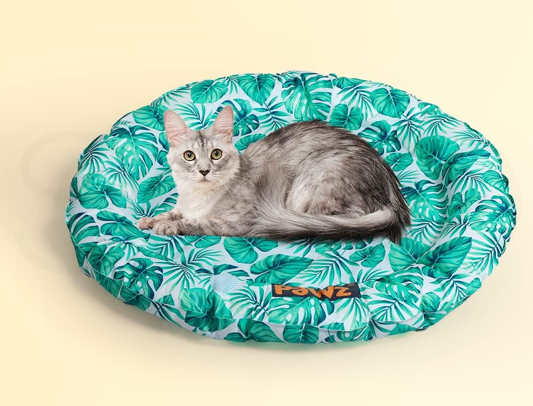 A gray tabby cat lies on a round, cushioned pet bed with a green tropical leaf pattern on a light background, set against a solid pale yellow backdrop at Pet Servo