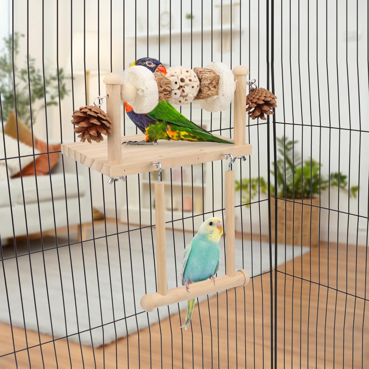Birds on a wooden perch inside a birdcage with a blurred indoor background at Pet Servo