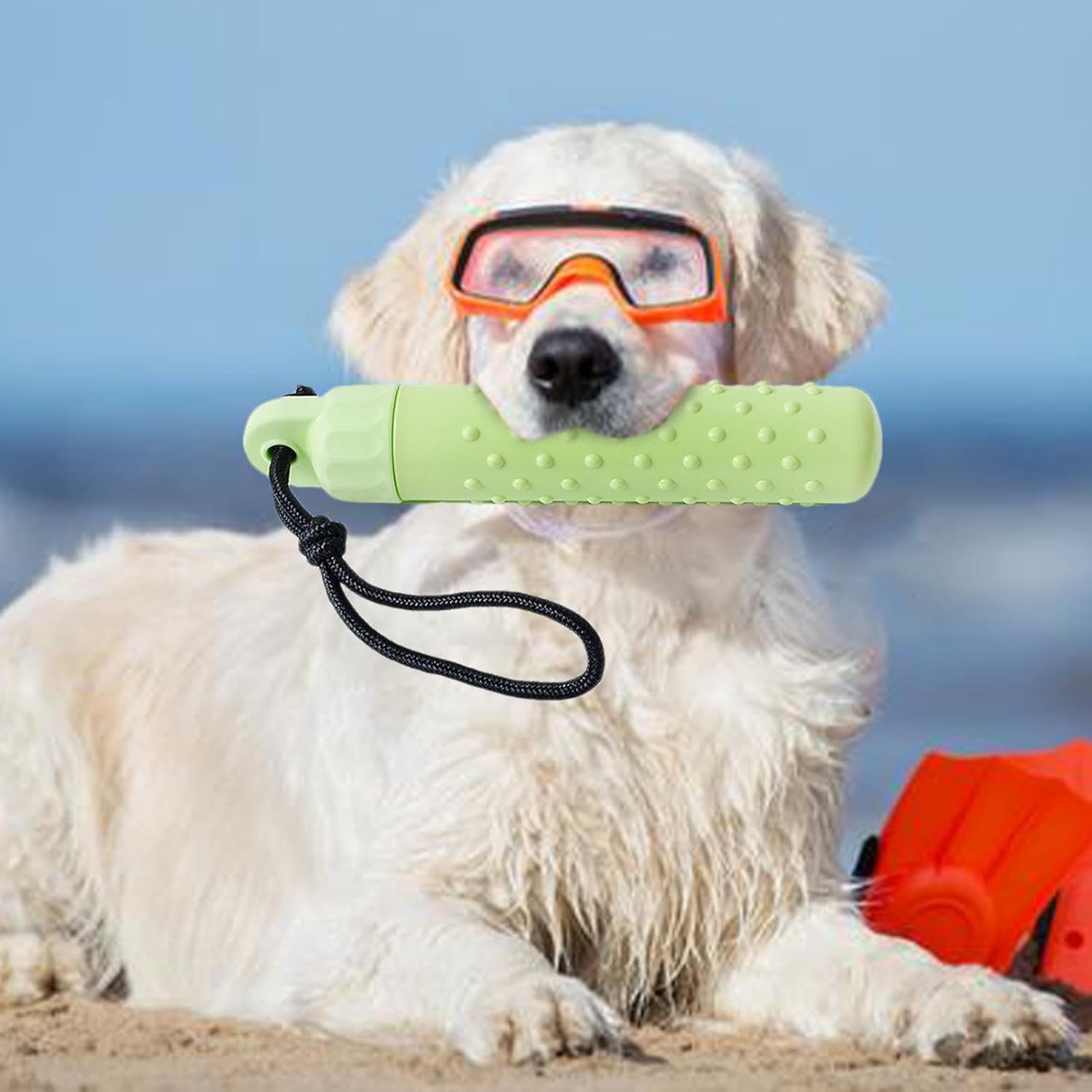 Dog on a beach wearing goggles and holding a green toy at Pet Servo