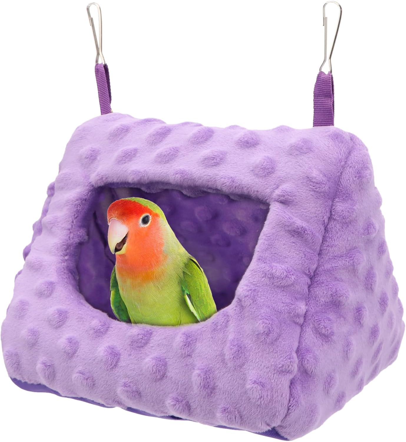 Purple bird hammock with a parrot inside on a white background at Pet Servo