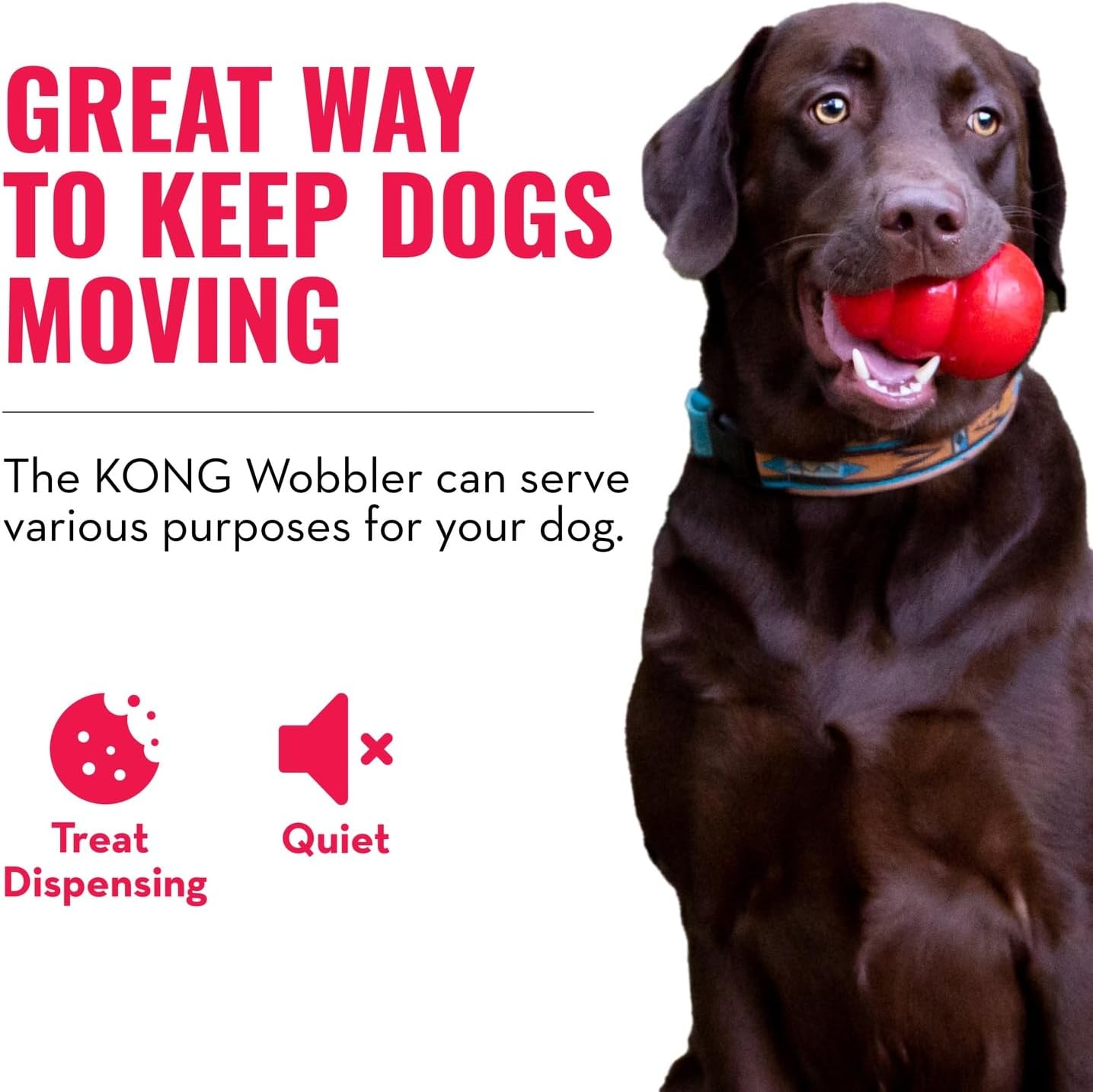 Dog with a red KONG Wobbler toy in its mouth on a white background with promotional text at Pet Servo