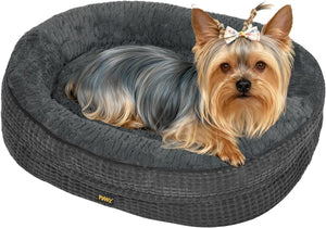 Small dog with a bow on a gray cushion at Pet Servo