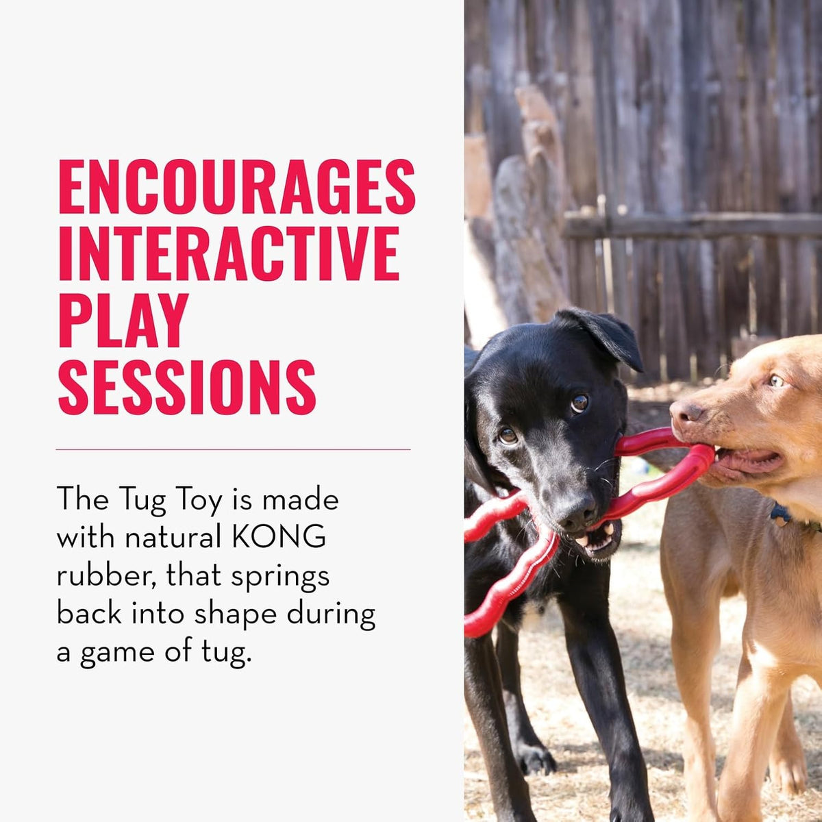 Two dogs playing with a tug toy, with text about interactive play sessions and KONG rubber at Pet Servo