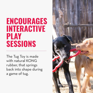 Two dogs playing with a tug toy, with text about interactive play sessions and KONG rubber at Pet Servo