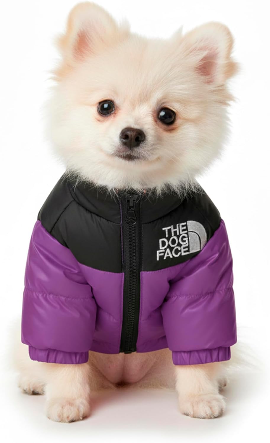 Small dog wearing a purple and black coat with 'The Dog Face' logo on a white background at Pet Servo