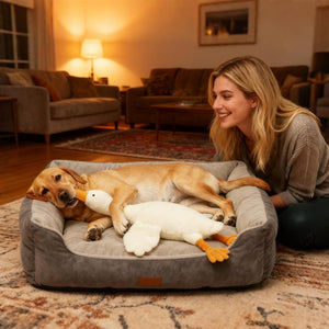 Woman sitting next to a dog lying on a pet bed with plush toys in a cozy living room at Pet Servo