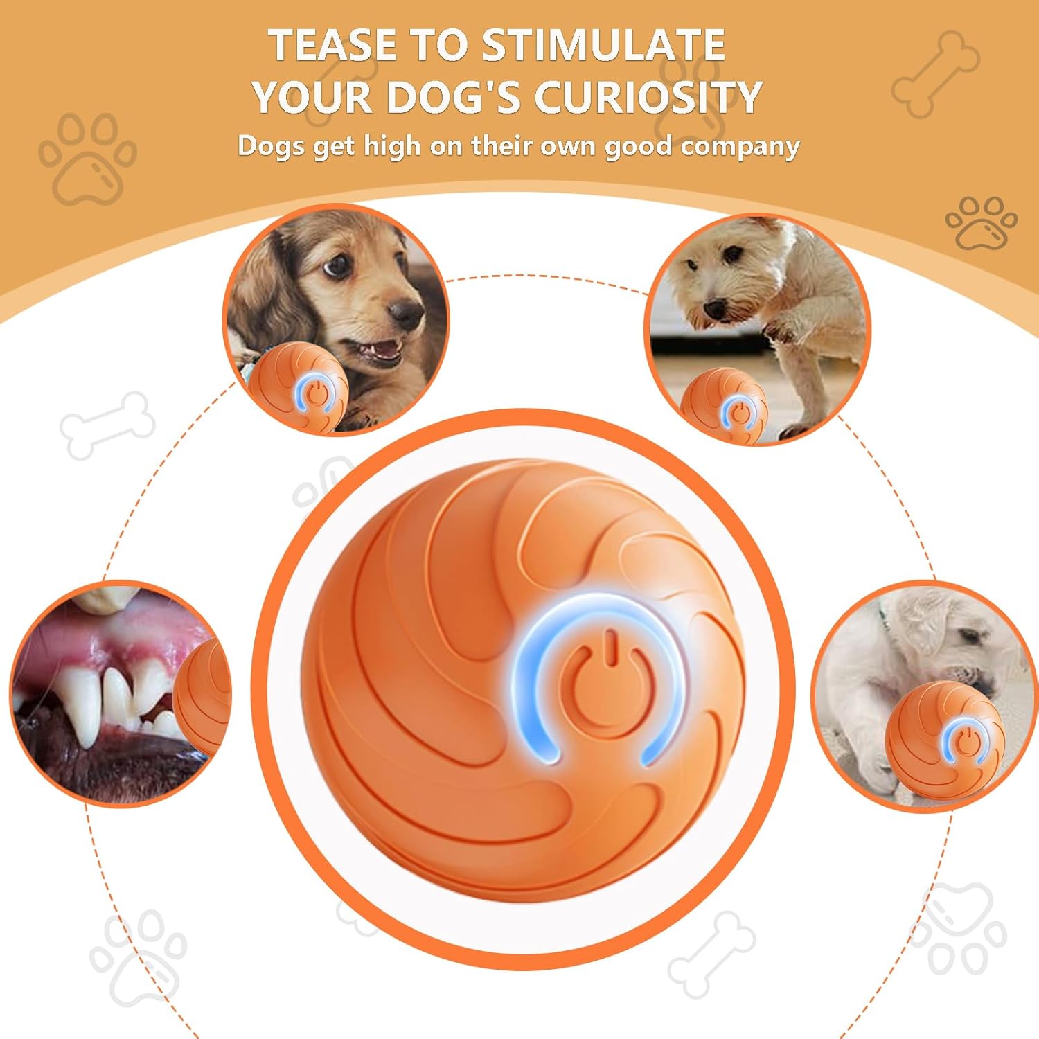 Orange dog toy with power symbol, surrounded by images of dogs and text about stimulating curiosity at Pet Servo
