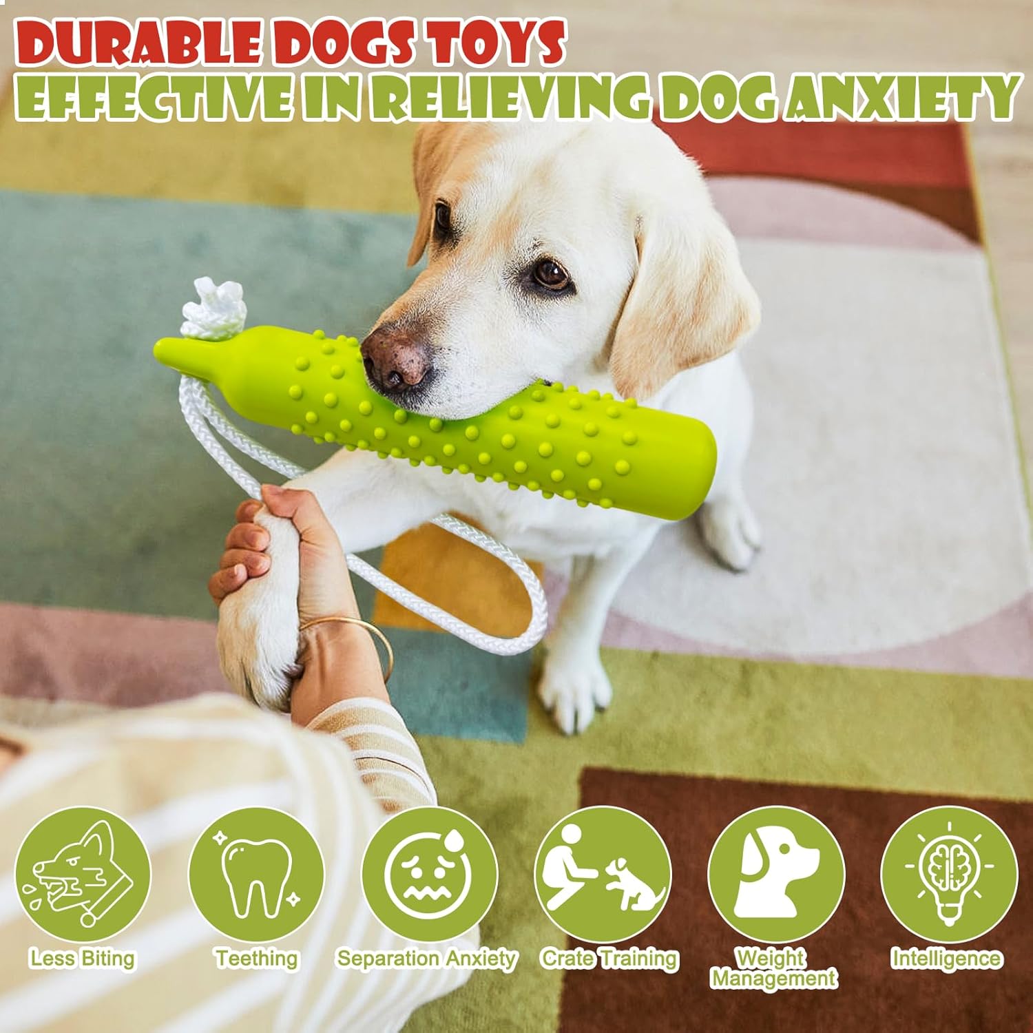 Dog playing with a green toy, effective in relieving dog anxiety, on a carpeted floor at Pet Servo