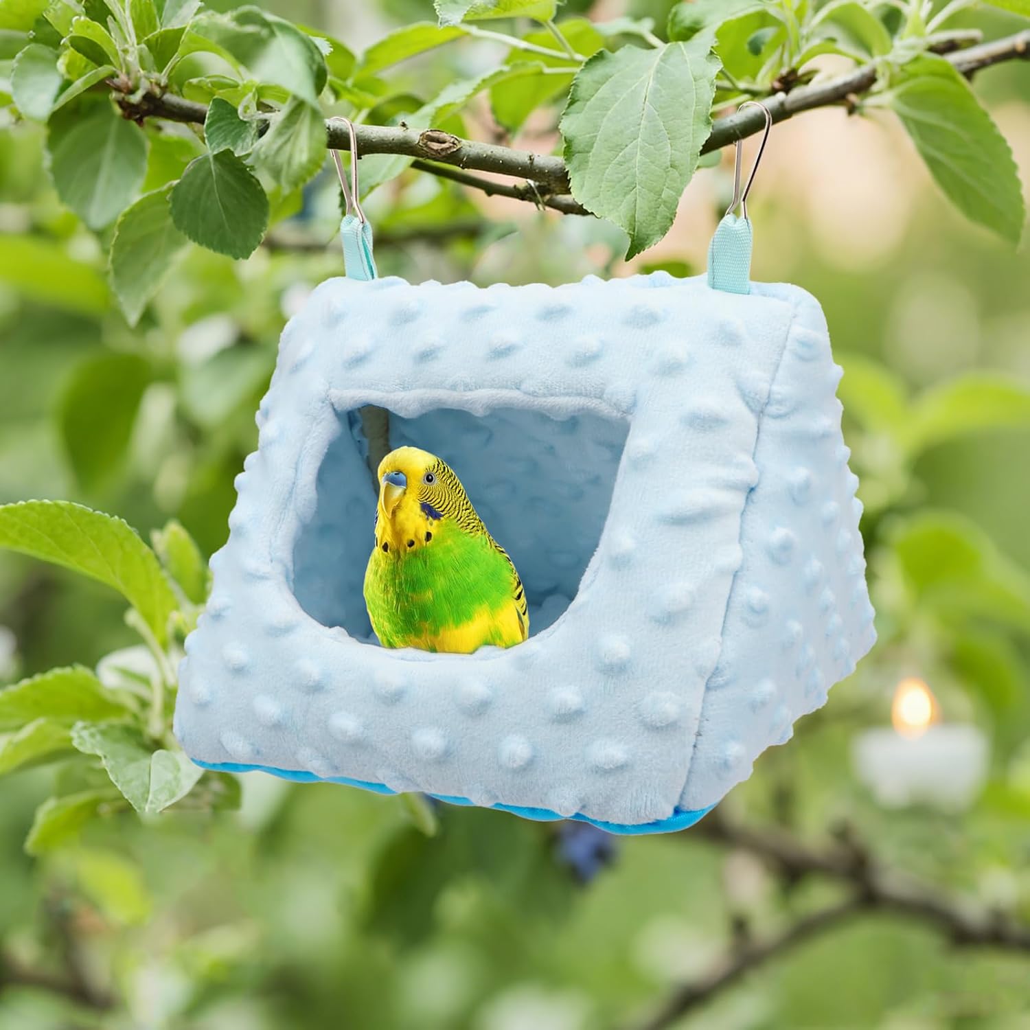 Blue bird nest with a parakeet inside, hanging from a tree branch at Pet Servo
