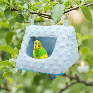 Blue bird nest with a parakeet inside, hanging from a tree branch at Pet Servo