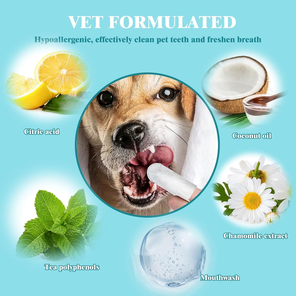 Dog with a toothbrush, lemon, coconut, mint, chamomile, and mouthwash on a blue background with text 'Vet Formulated' at Pet Servo