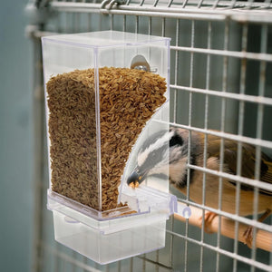 Bird accessing a transparent bird feeder filled with seeds inside a cage at Pet Servo