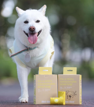 White dog standing next to pet care products with a blurred green background at Pet Servo