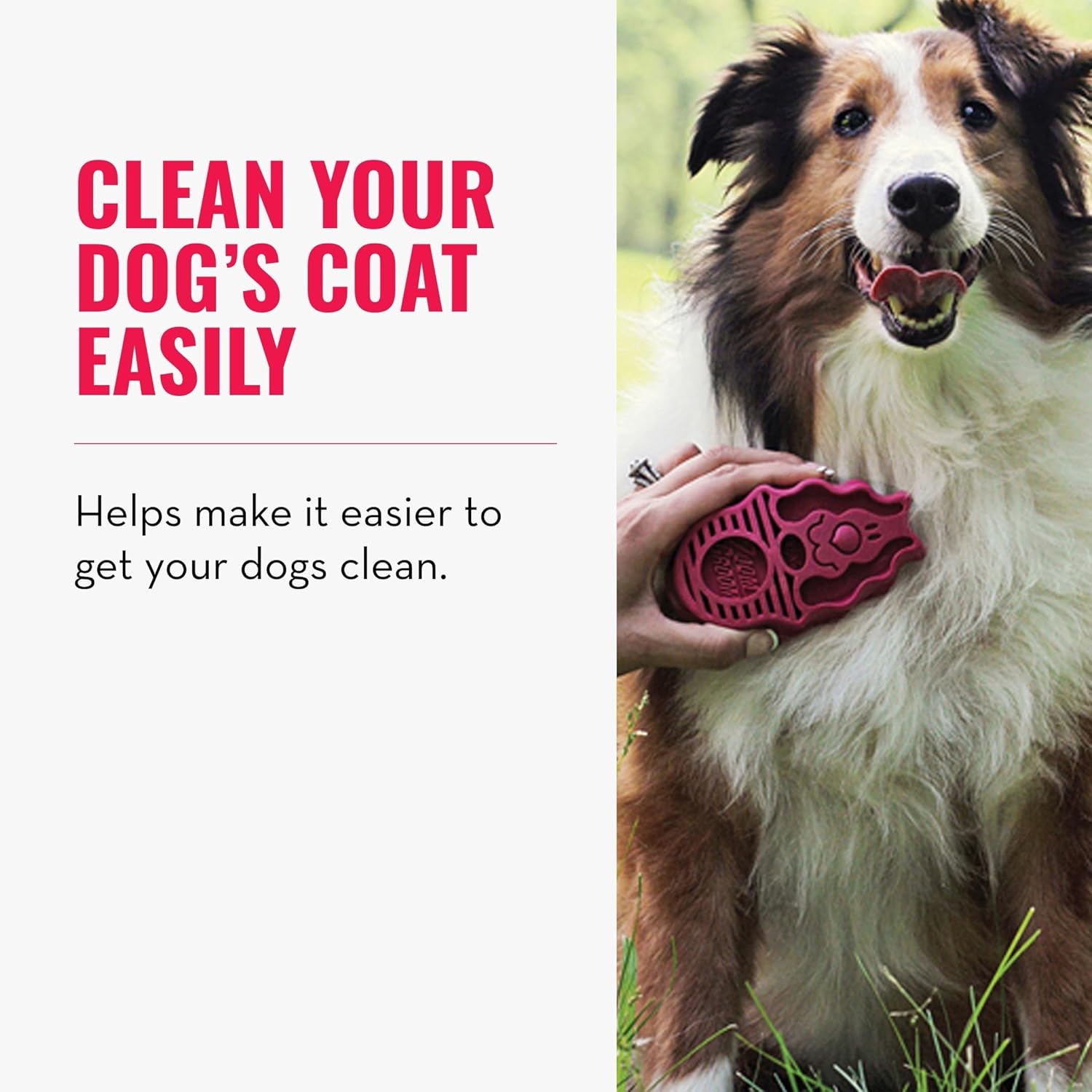 Dog with a grooming tool and text about cleaning a dog's coat easily at Pet Servo
