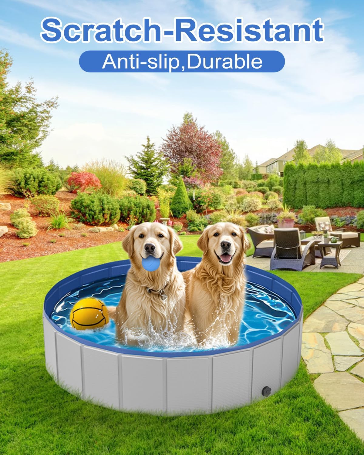 Two dogs playing in a portable dog pool with a garden background at Pet Servo
