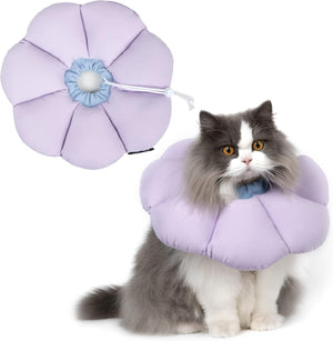Cat wearing a purple flower-shaped pet cone collar on a white background at Pet Servo