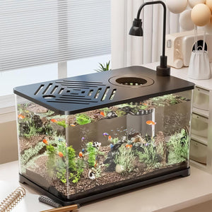Fish tank with aquatic plants and fish on a desk at Pet Servo
