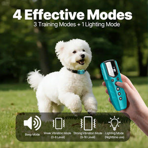 Dog with a remote control in a grassy outdoor setting, highlighting 4 effective modes at Pet Servo