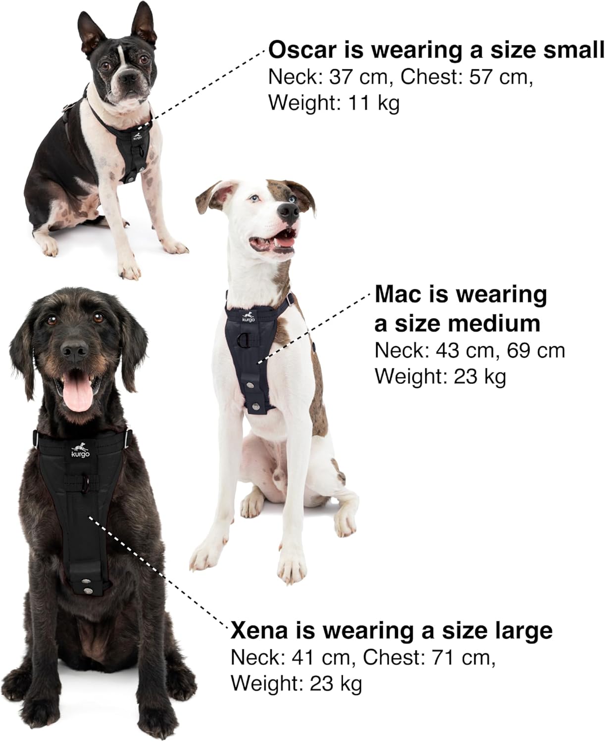 Three dogs wearing harnesses with size chart labels and measurements at Pet Servo