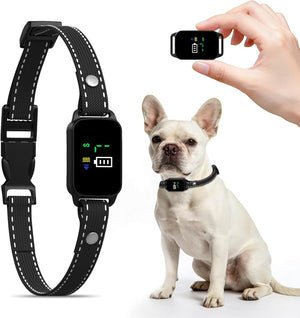 Black dog collar with digital display next to a white dog and a hand holding a remote control at Pet Servo