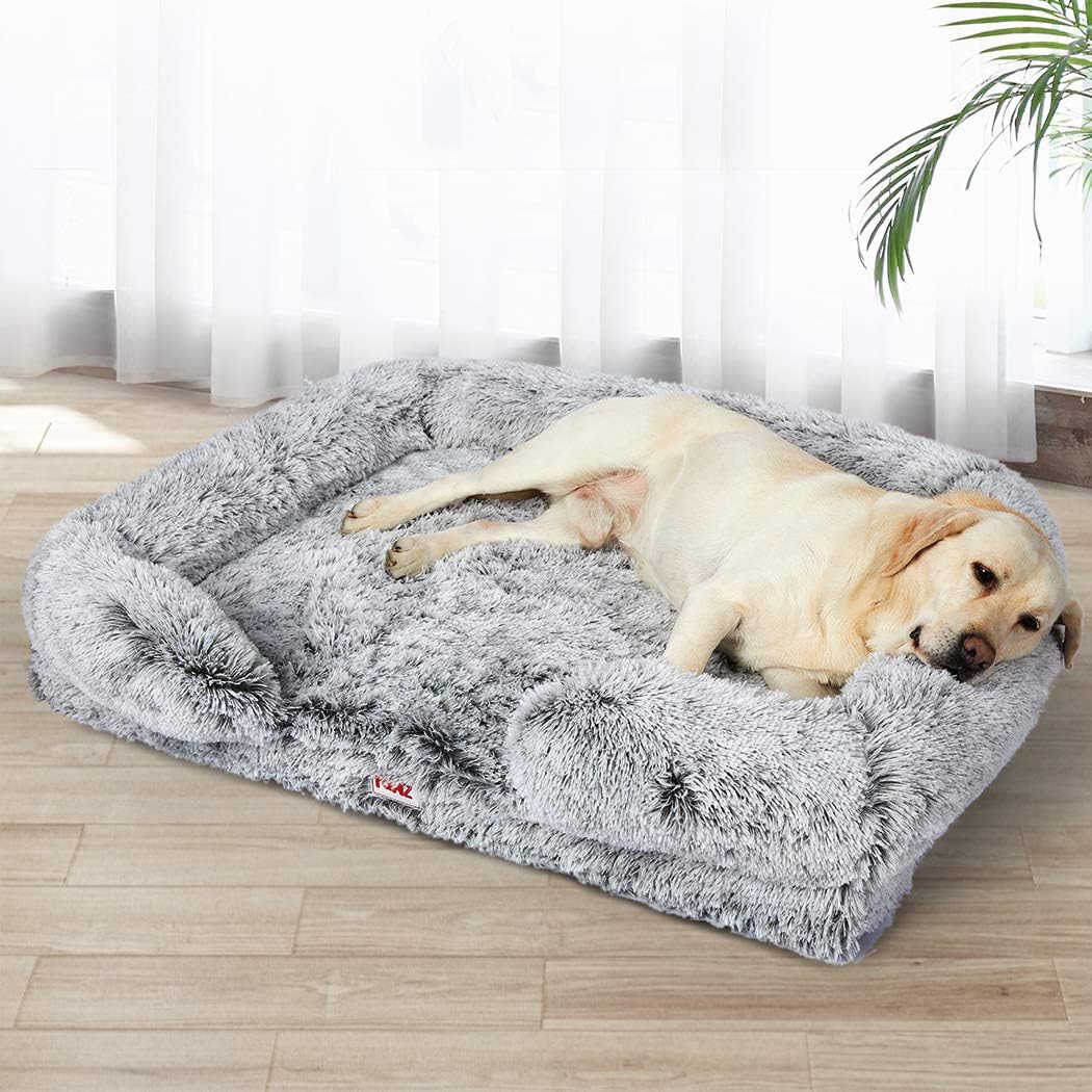 Dog lying on a fluffy gray pet bed in a room with light wood flooring and white curtains at Pet Servo