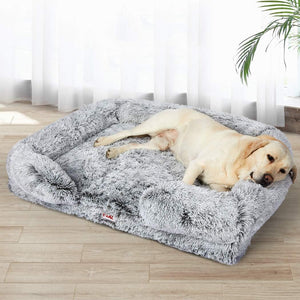 Dog lying on a fluffy gray pet bed in a room with light wood flooring and white curtains at Pet Servo