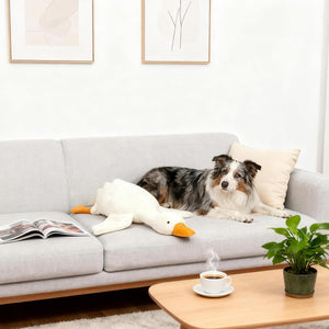 Dog lying on a couch next to a large duck toy with a cup of coffee and plant on a table in the foreground at Pet Servo