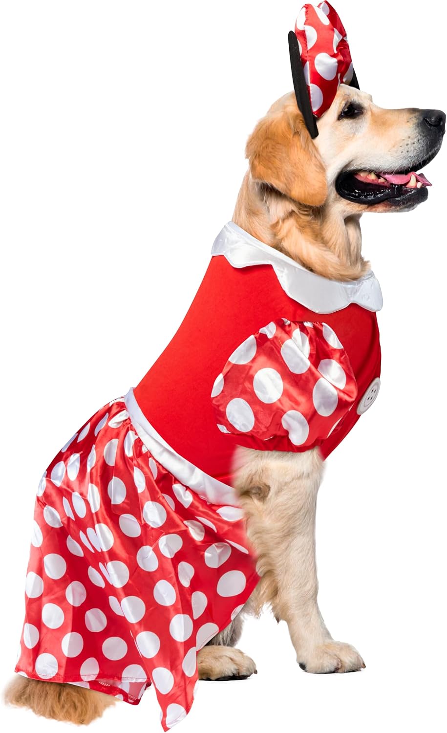 A golden retriever dog wearing a red and white polka dot costume dress with a matching red polka dot headband, photographed against a plain white background at Pet Servo