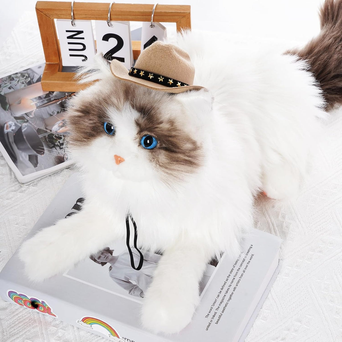 Cat wearing a cowboy hat on top of a magazine with a calendar in the background at Pet Servo