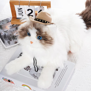 Cat wearing a cowboy hat on top of a magazine with a calendar in the background at Pet Servo