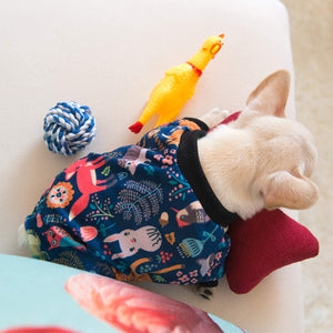 Dog wearing a colorful patterned sweater with toys on a light-colored surface at Pet Servo
