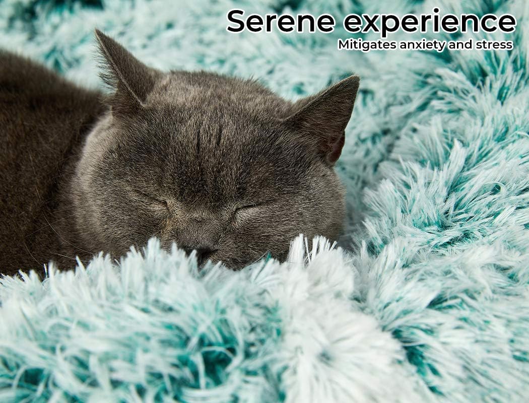 A gray cat sleeping peacefully on a fluffy mint green and white shaggy blanket, with the text 'Serene experience' and 'Mitigates anxiety and stress' in the top right corner at Pet Servo