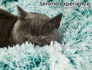A gray cat sleeping peacefully on a fluffy mint green and white shaggy blanket, with the text 'Serene experience' and 'Mitigates anxiety and stress' in the top right corner at Pet Servo