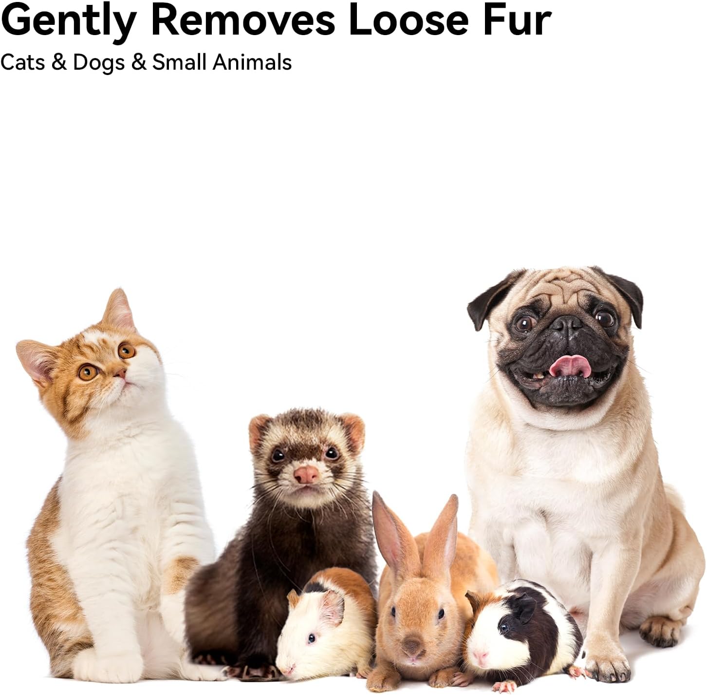 Group of cats, dogs, and small animals on a white background with text about fur removal at Pet Servo