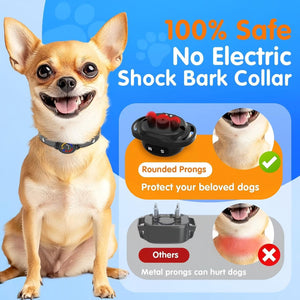 Dog wearing a bark collar with safety features highlighted on a blue background at Pet Servo