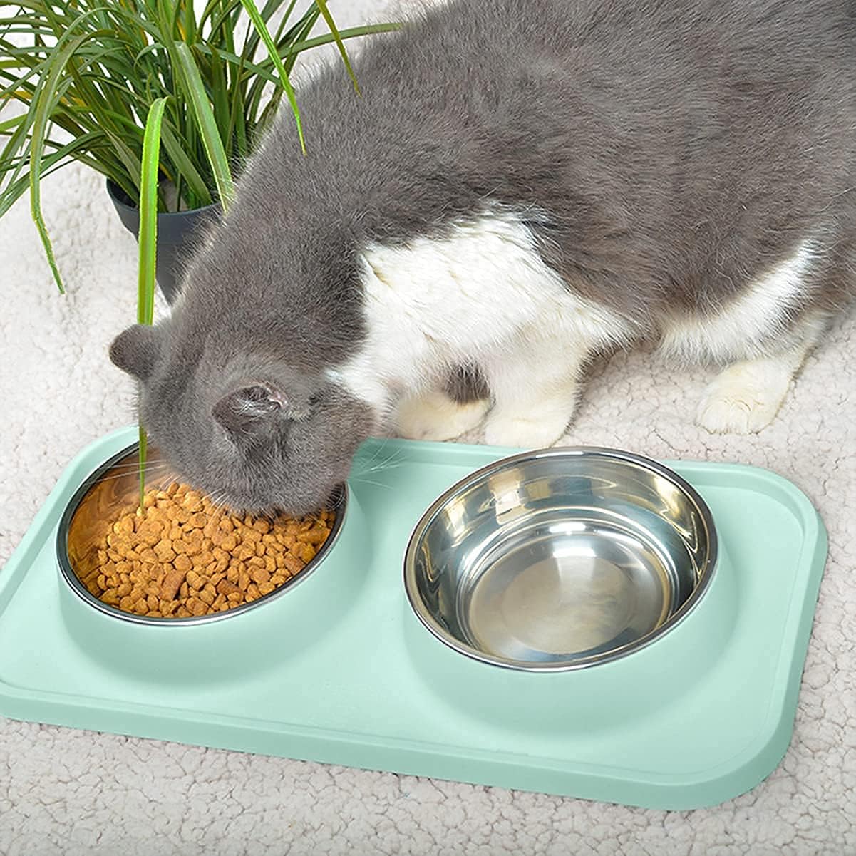 Cat eating from a metal bowl on a green pet mat with a plant in the background at Pet Servo