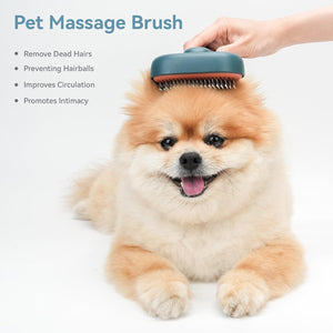 Pet massage brush being used on a small dog with text about its benefits at Pet Servo