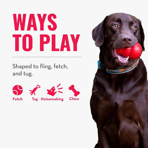 Dog playing with a red ball, promotional text for ways to play with a product at Pet Servo