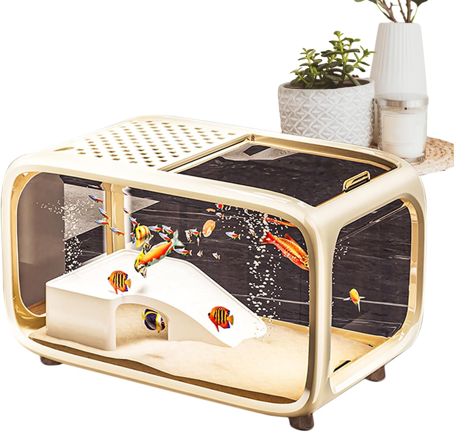 Modern fish tank with goldfish on a white background at Pet Servo