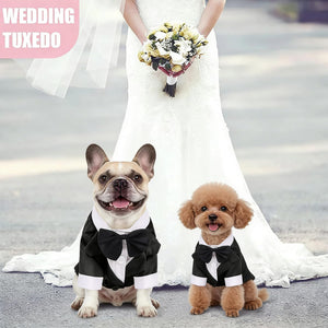 Two dogs in tuxedos standing in front of a bride in a wedding dress.