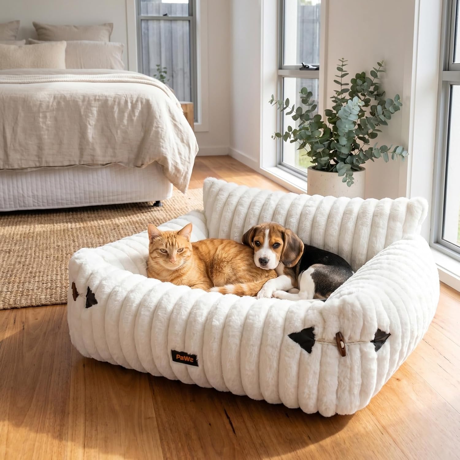 Two pets, a cat and a dog, lying on a plush white pet bed in a bright bedroom at Pet Servo