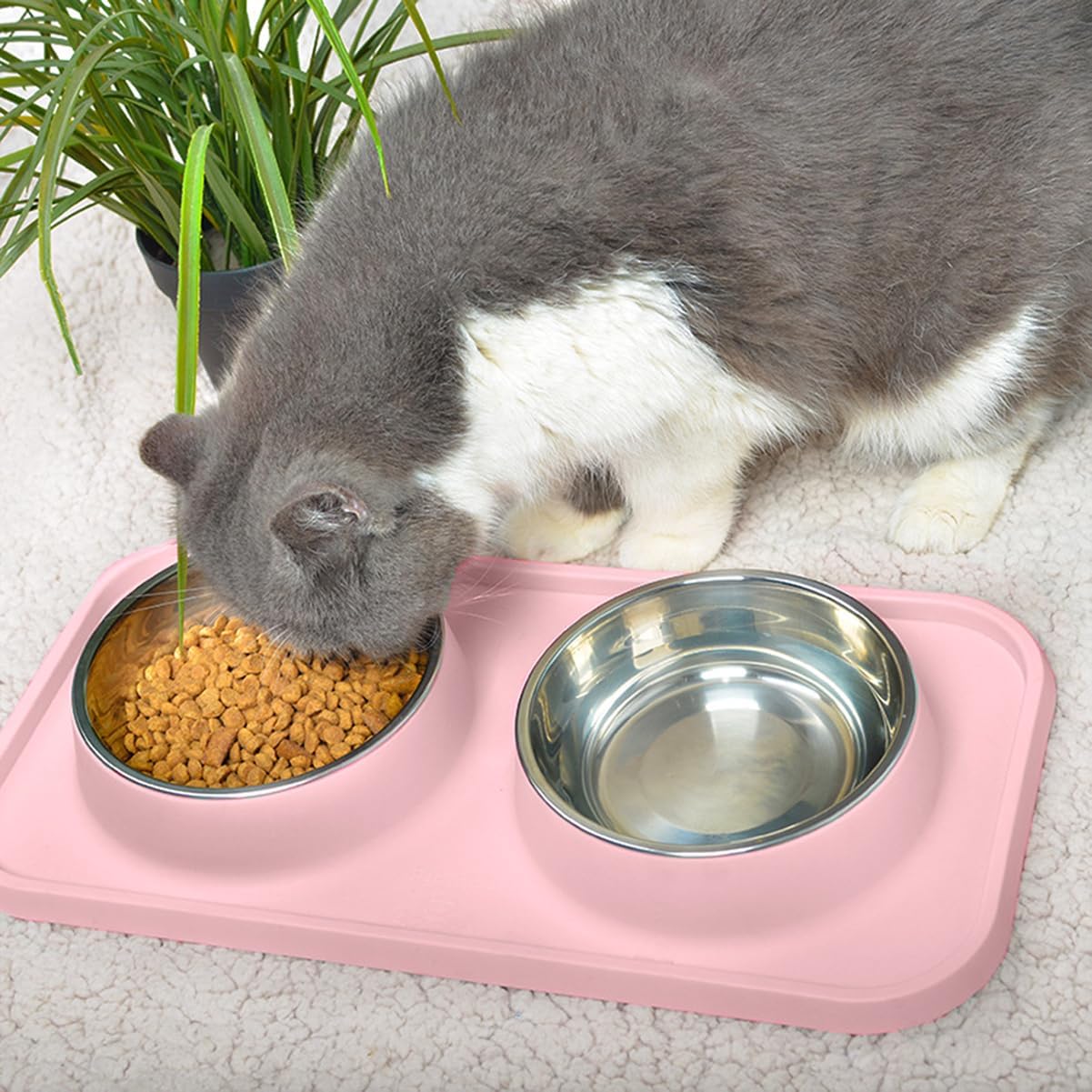 Cat eating from a pink pet feeder with two bowls on a white carpet at Pet Servo