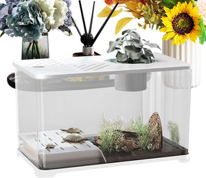 Small aquarium with aquatic plants and small fish, placed on a decorative surface with flowers at Pet Servo
