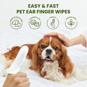 Dog being groomed with pet ear finger wipes on a white background at Pet Servo