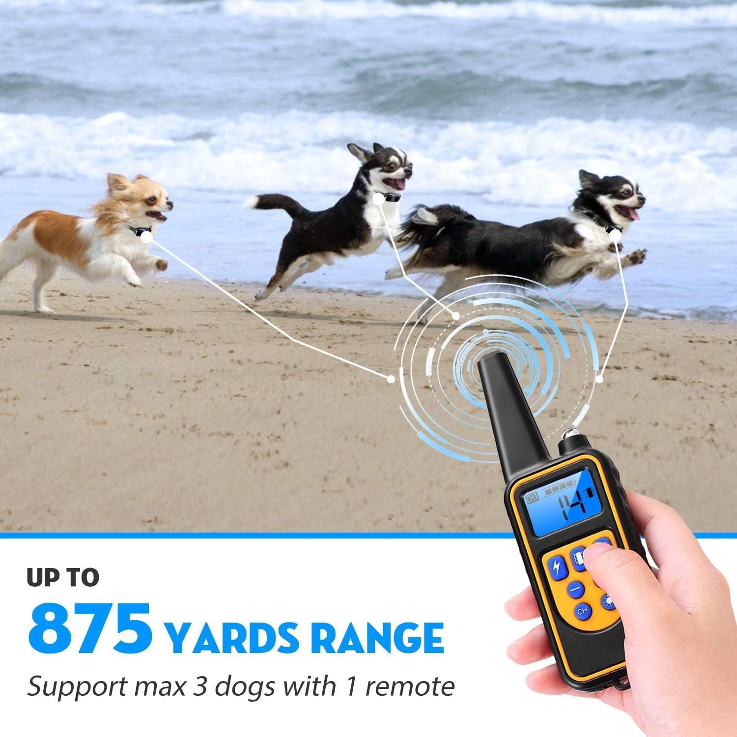 Hand holding a remote control device with dogs running on a beach, emphasizing range and multiple dog support at Pet Servo