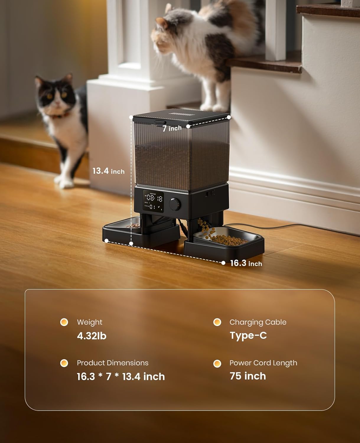 Buy oneisall - Automatic Cat Feeder for Dry Food at Pet Servo