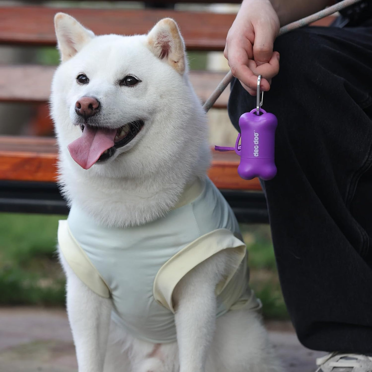 White dog wearing a light green outfit with a purple tag, sitting on a bench at Pet Servo