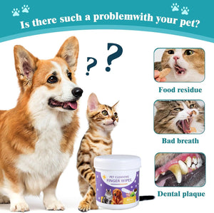 Promotional graphic for pet cleaning finger wipes featuring a corgi and kitten on a white background, with text asking about pet problems and showing examples of food residue, bad breath, and dental plaque. A tub of purple pet cleaning wipes is shown at the bottom at Pet Servo